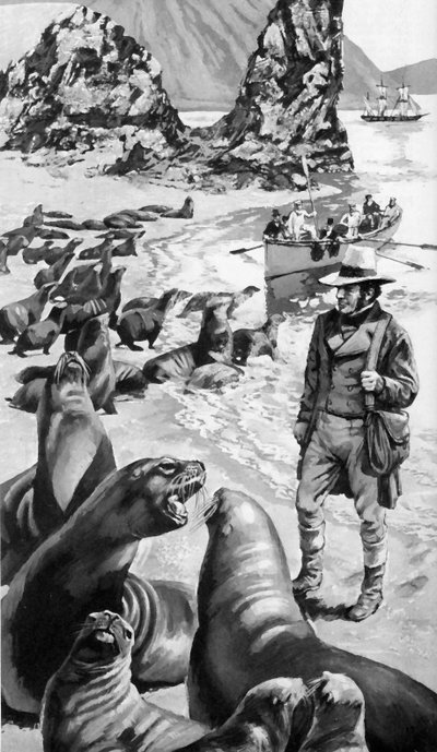 Charles Darwin on the Galapagos Islands by English School